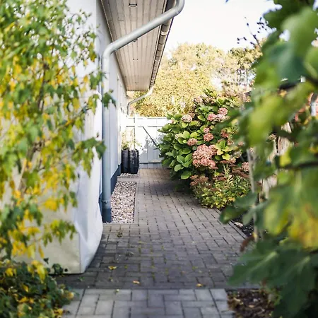 Strandbuhne 15 Eg Zingst